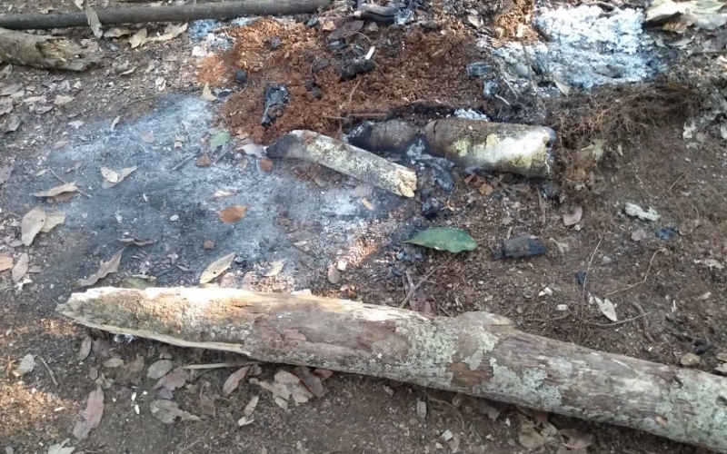 Preservação a Lagoa São João em Altônia