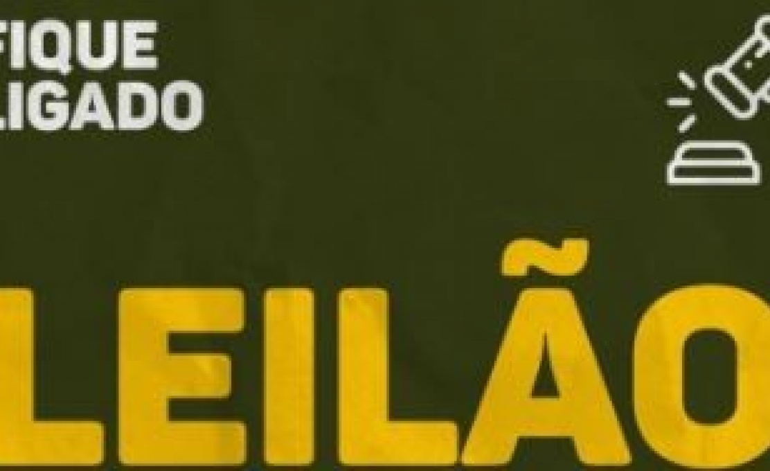 Leilão 2023