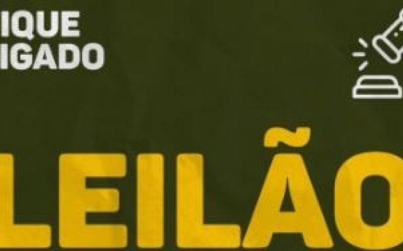 Leilão 2023